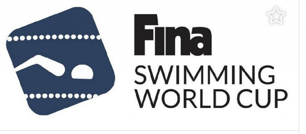 Нижегородские пловцы выступят на этапе Кубка мира FINA по плаванию в Казани. Нижегородские пловцы выступят на этапе Кубка мира FINA по плаванию в Казани. , новости ФПНО, новости спорта России плавание